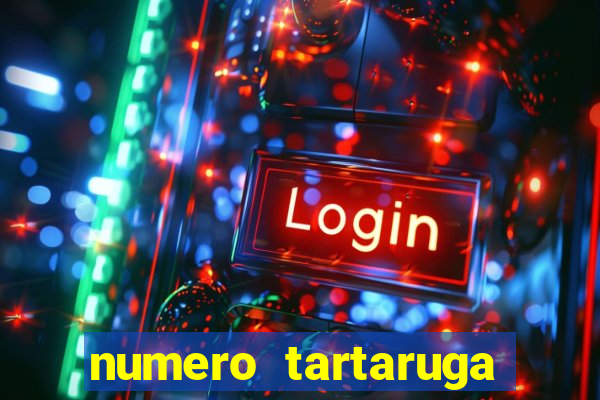 numero tartaruga jogo do bicho